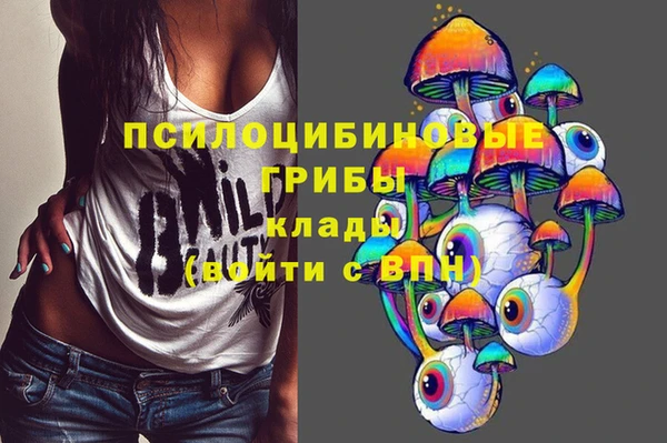 молекула духа Алексин