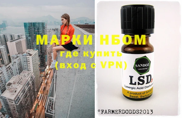 a pvp Алзамай